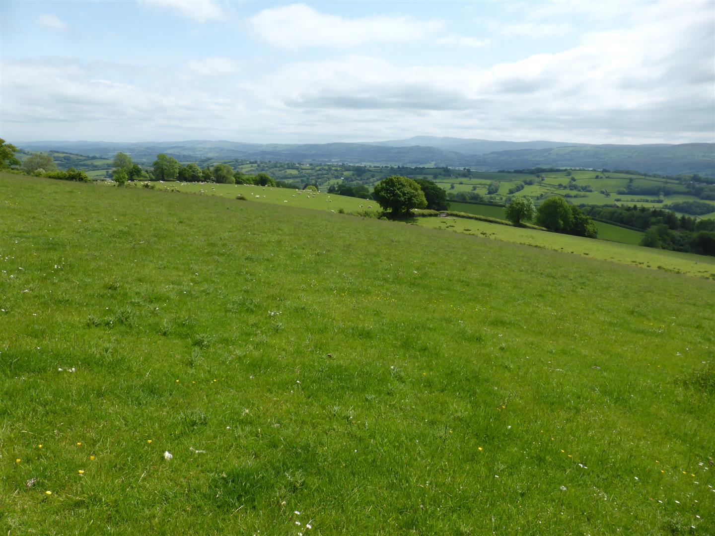 LAND